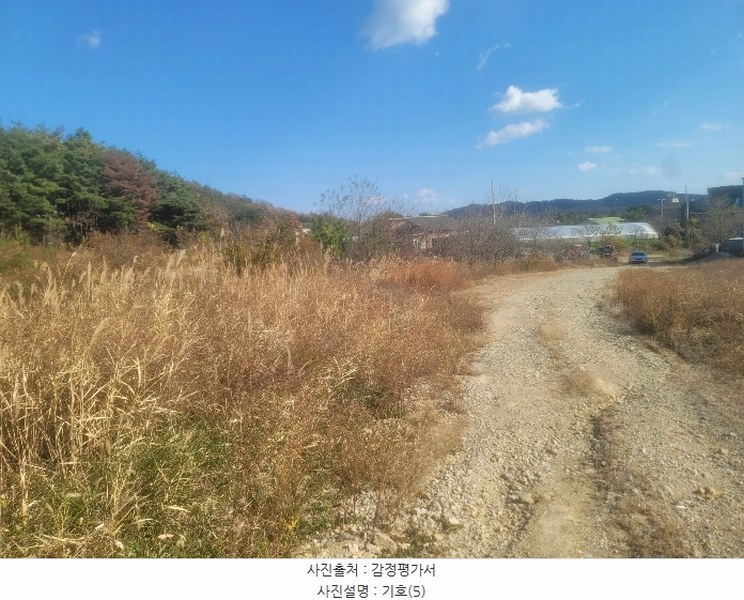 2024타경3924 경상북도 포항시 북구 청하면 소동리 229 임야 경매 이미지