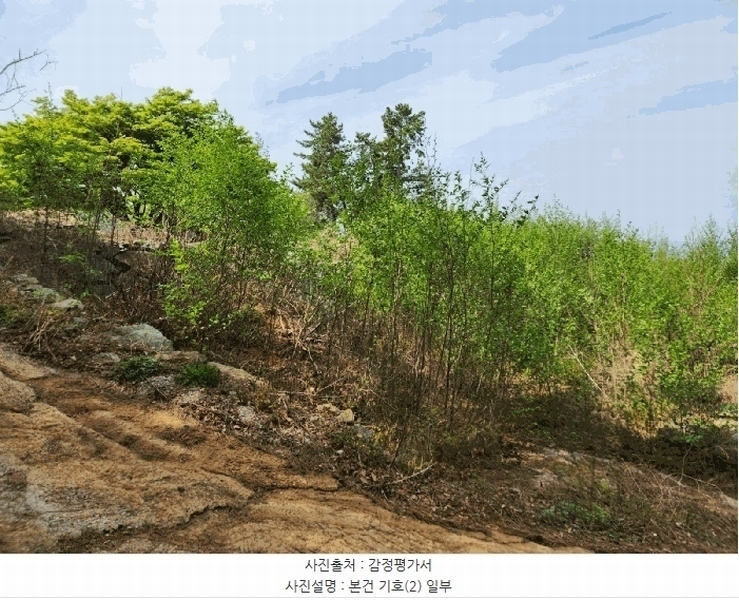 2025타경608 경상남도 남해군 남해읍 입현리 959-1 임야 경매 이미지