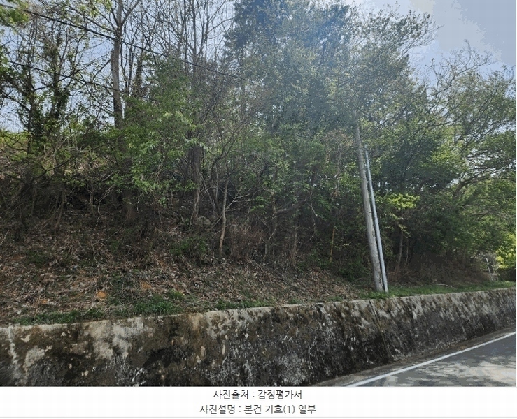 2025타경608 경상남도 남해군 남해읍 입현리 959-1 임야 경매 이미지