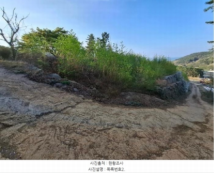 2025타경608 경상남도 남해군 남해읍 입현리 959-1 임야 경매 이미지