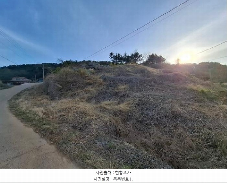 2025타경608 경상남도 남해군 남해읍 입현리 959-1 임야 경매 이미지