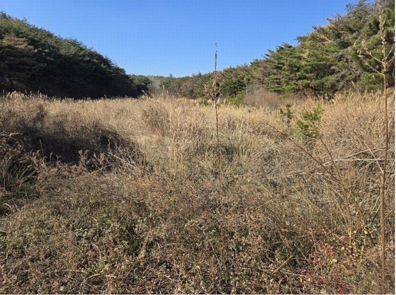 2024타경37309 경상북도 포항시 북구 청하면 고현리 879 농지 경매 이미지