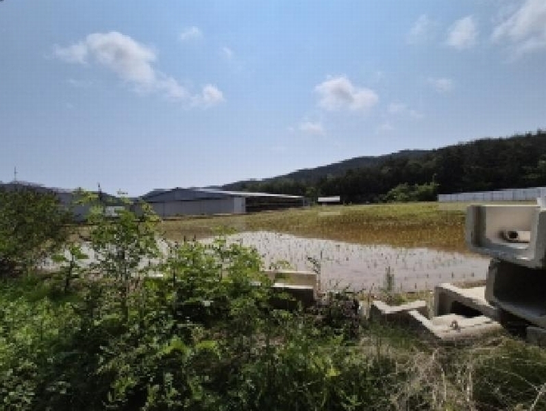 2025타경3776 경상북도 포항시 북구 청하면 미남리 70 농지 경매 이미지
