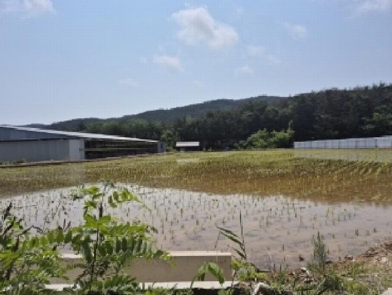 2025타경3776 경상북도 포항시 북구 청하면 미남리 70 농지 경매 이미지