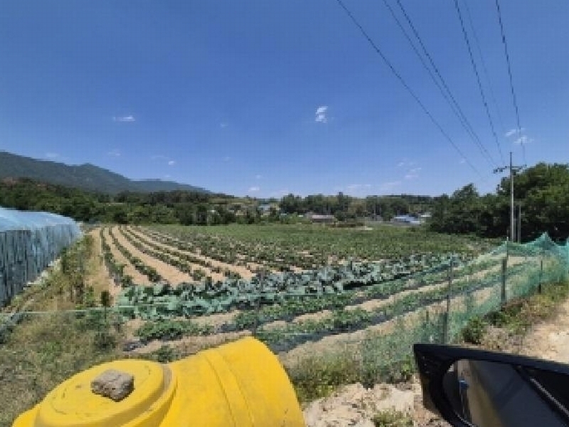 2025타경3814 경상북도 포항시 북구 신광면 죽성리 990-1 농지 경매 이미지