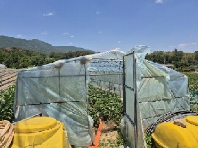 2025타경3814 경상북도 포항시 북구 신광면 죽성리 990-1 농지 경매 이미지