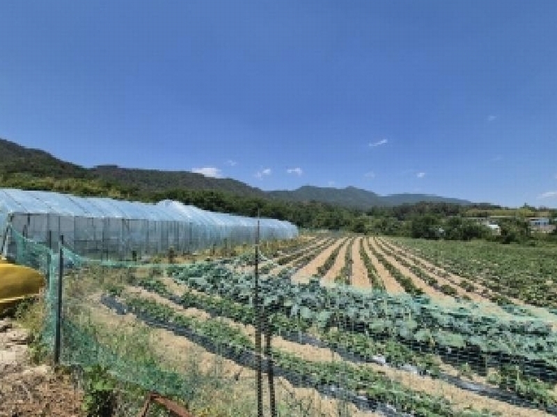 2025타경3814 경상북도 포항시 북구 신광면 죽성리 990-1 농지 경매 이미지