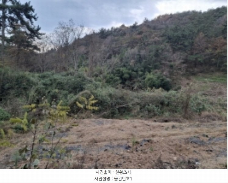 2024타경6198 경상남도 사천시 서포면 구랑리 753 농지 경매 이미지