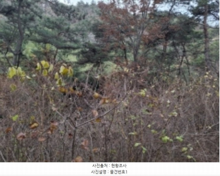 2024타경6198 경상남도 사천시 서포면 구랑리 753 농지 경매 이미지
