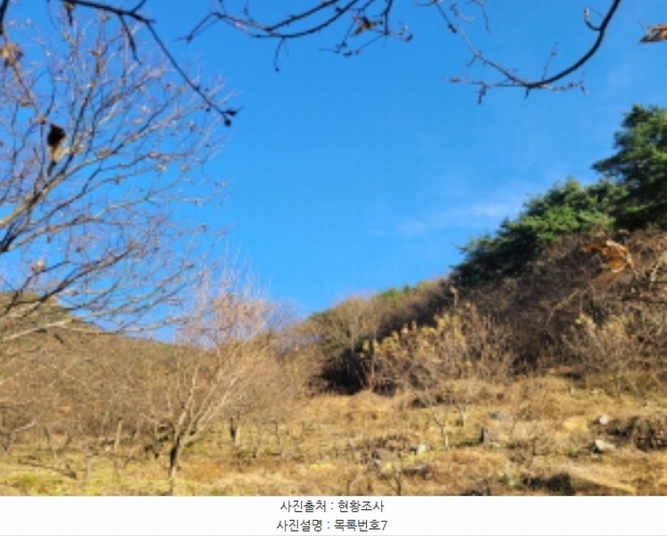 2024타경6495 경상남도 산청군 신안면 외송리 산71-7 임야 경매 이미지
