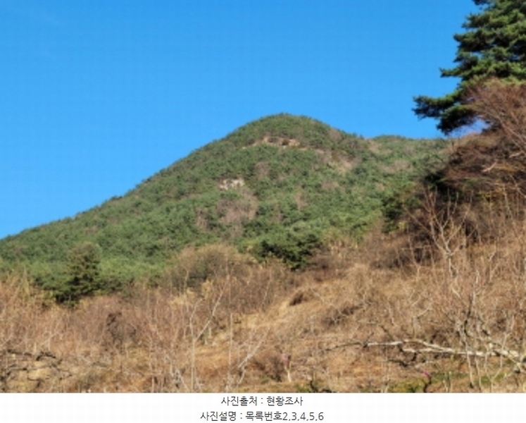 2024타경6495 경상남도 산청군 신안면 외송리 산71-7 임야 경매 이미지