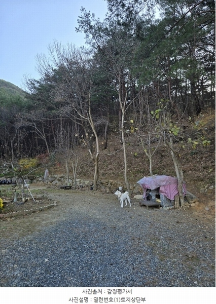 2024타경6495 경상남도 산청군 신안면 외송리 산71-7 임야 경매 이미지