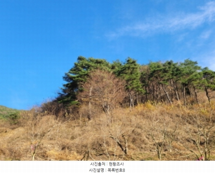 2024타경6495 경상남도 산청군 신안면 외송리 산71-7 임야 경매 이미지