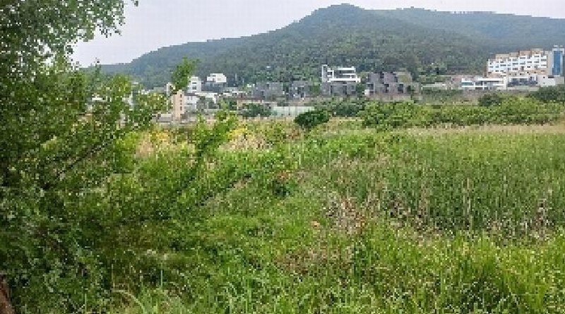 2025타경21513 경상남도 거제시 일운면 와현리 411-2 농지 경매 이미지