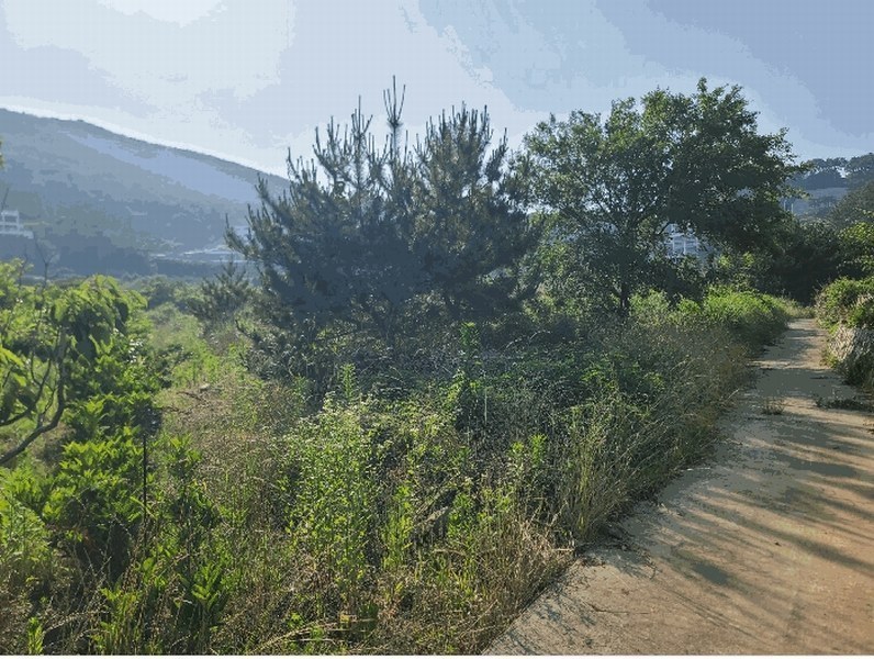 2025타경21513 경상남도 거제시 일운면 와현리 411-2 농지 경매 이미지