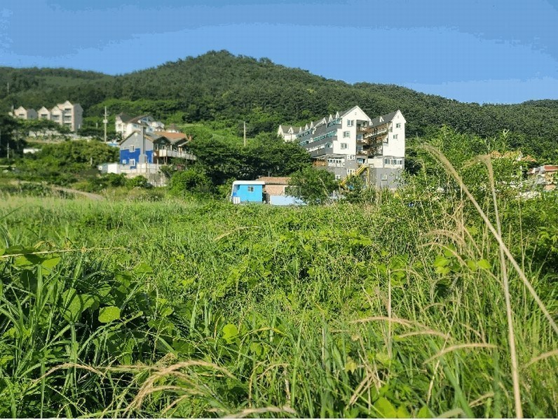 2025타경21513 경상남도 거제시 일운면 와현리 411-2 농지 경매 이미지