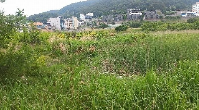 2025타경21513 경상남도 거제시 일운면 와현리 411-2 농지 경매 이미지