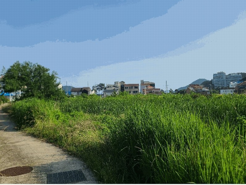 2025타경21513 경상남도 거제시 일운면 와현리 411-2 농지 경매 이미지