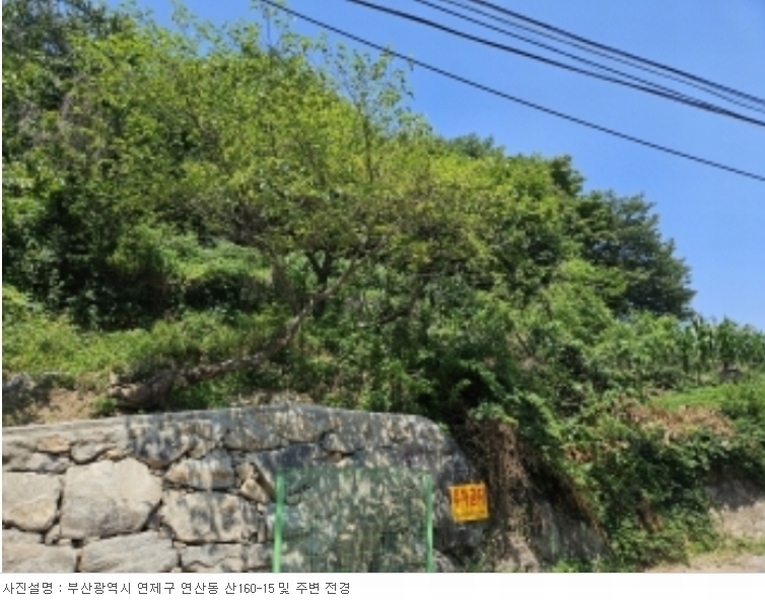 2024타경3014 부산광역시 연제구 연산동 산160-15 임야 경매 이미지