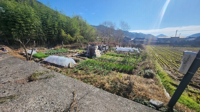 2024타경6136 경상남도 진주시 대곡면 가정리 93 농지 경매 이미지