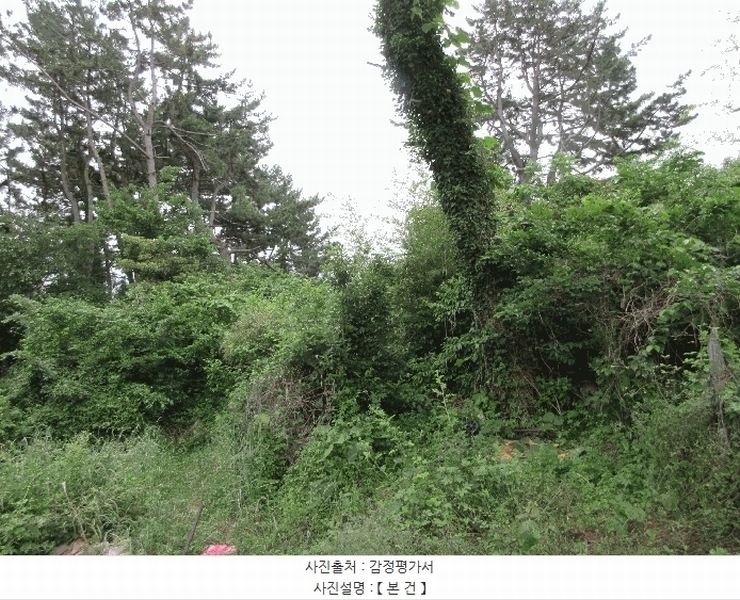 2025타경21255 경상남도 통영시 도천동 889 임야 경매 이미지