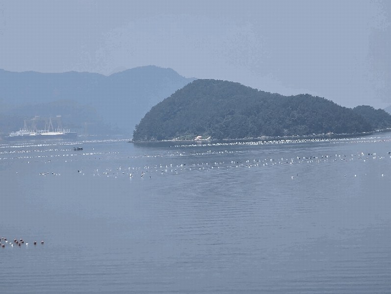 2025타경21578 경상남도 거제시 사등면 창호리 어업권 경매 이미지