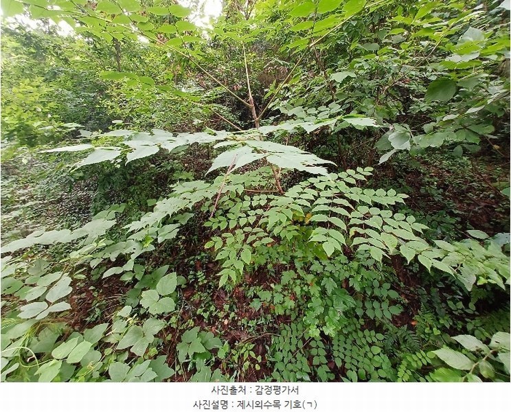 2024타경3489 경상남도 남해군 이동면 용소리 547-11 농지 경매 이미지