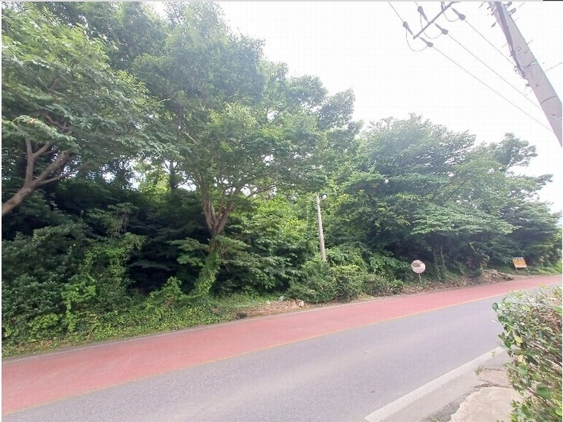 2024타경3489 경상남도 남해군 이동면 용소리 547-11 농지 경매 이미지