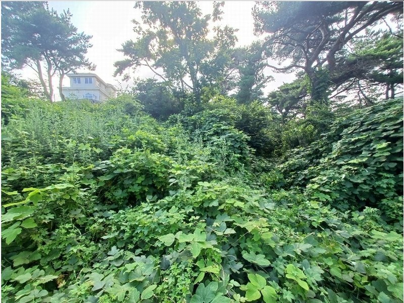 2024타경3489 경상남도 남해군 이동면 용소리 547-11 농지 경매 이미지