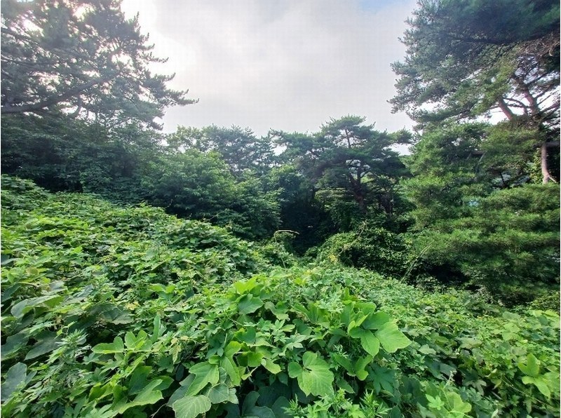 2024타경3489 경상남도 남해군 이동면 용소리 547-11 농지 경매 이미지