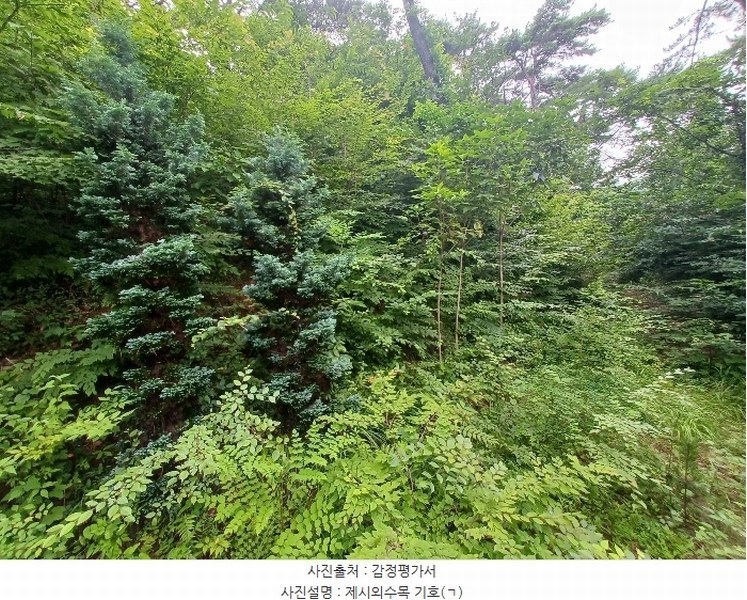 2024타경3489 경상남도 남해군 이동면 용소리 547-11 농지 경매 이미지