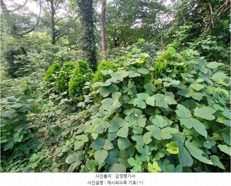 2024타경3489 경상남도 남해군 이동면 용소리 547-11 농지 경매 이미지