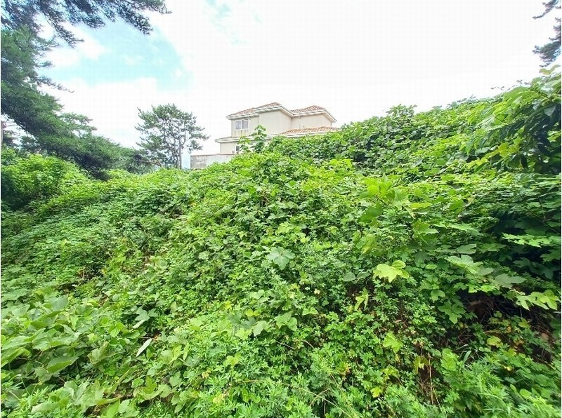2024타경3489 경상남도 남해군 이동면 용소리 547-11 농지 경매 이미지