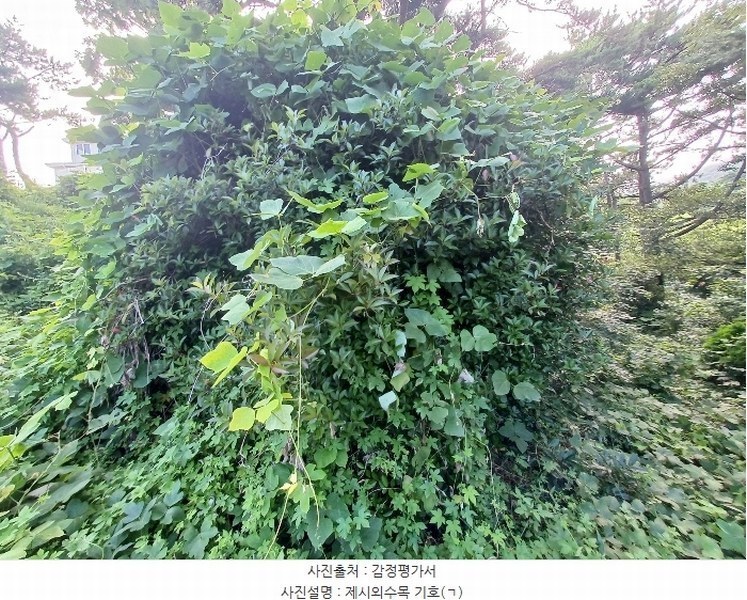 2024타경3489 경상남도 남해군 이동면 용소리 547-11 농지 경매 이미지