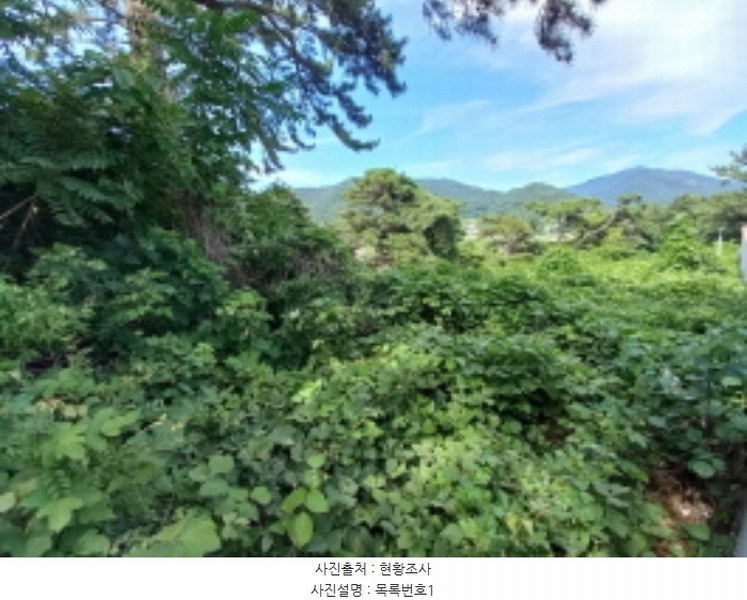 2024타경3489 경상남도 남해군 이동면 용소리 547-11 농지 경매 이미지