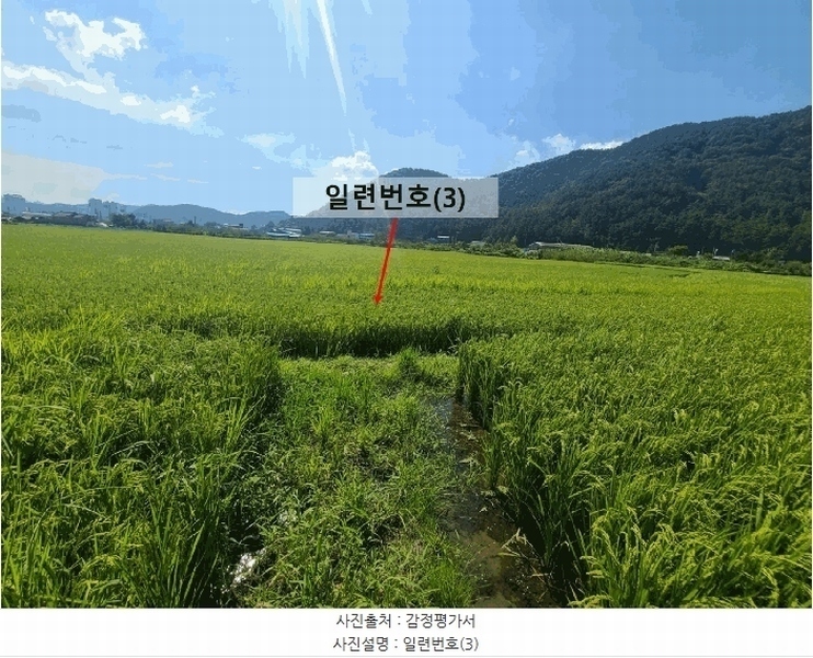 2025타경20825 경상남도 창원시 마산합포구 진동면 교동리 427-2 농지 경매 이미지