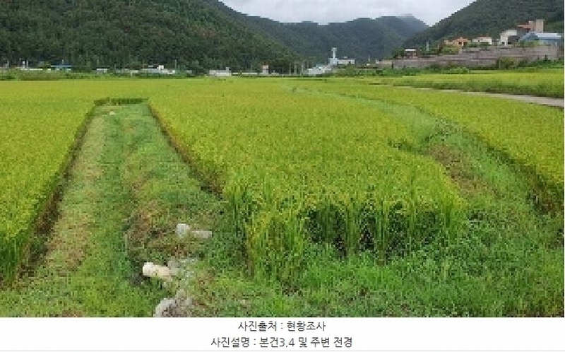 2025타경20825 경상남도 창원시 마산합포구 진동면 교동리 427-2 농지 경매 이미지