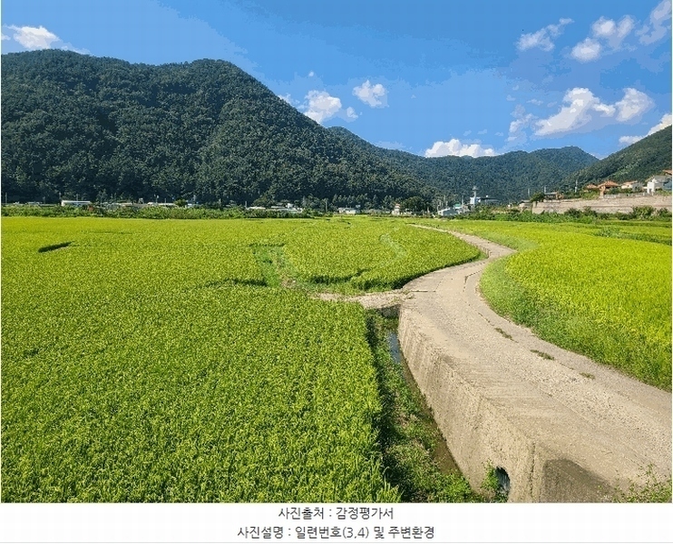 2025타경20825 경상남도 창원시 마산합포구 진동면 교동리 427-2 농지 경매 이미지
