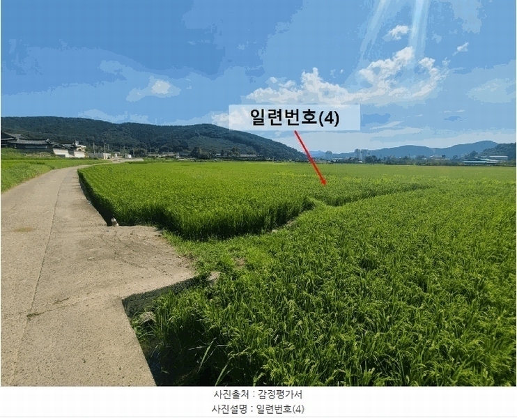 2025타경20825 경상남도 창원시 마산합포구 진동면 교동리 427-2 농지 경매 이미지