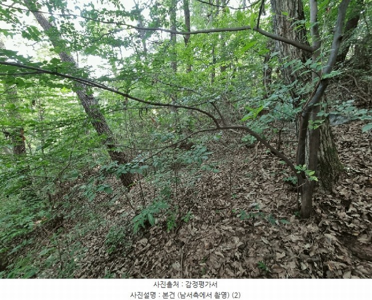 2025타경1411 울산광역시 울주군 청량읍 율리 산134-9 임야 경매 이미지