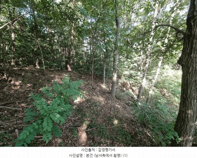 2025타경1411 울산광역시 울주군 청량읍 율리 산134-9 임야 경매 이미지