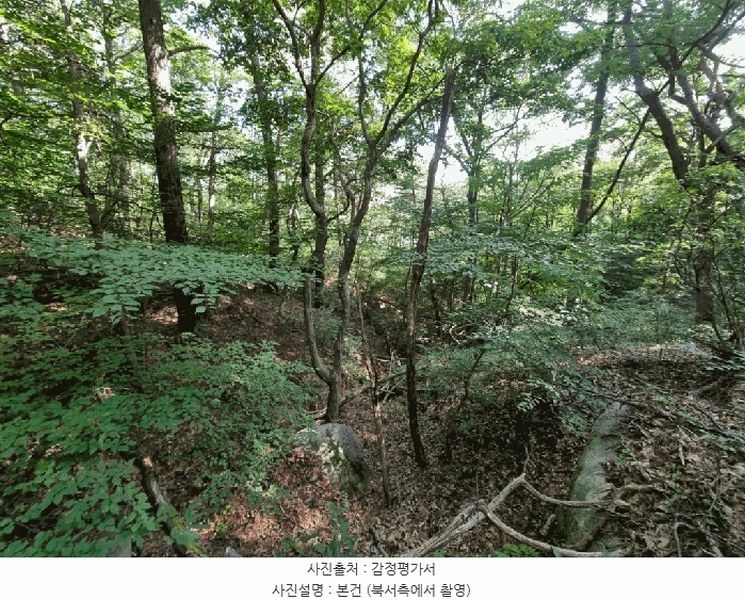2025타경1411 울산광역시 울주군 청량읍 율리 산134-9 임야 경매 이미지