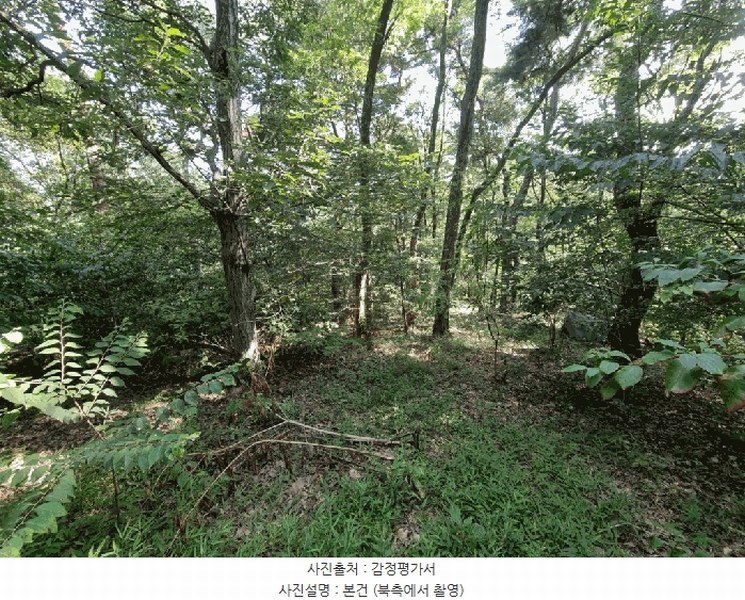 2025타경1411 울산광역시 울주군 청량읍 율리 산134-9 임야 경매 이미지