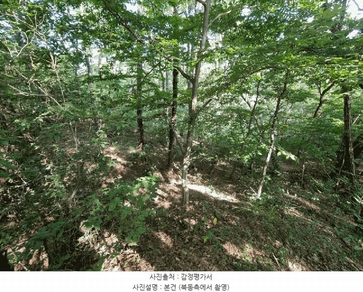 2025타경1411 울산광역시 울주군 청량읍 율리 산134-9 임야 경매 이미지