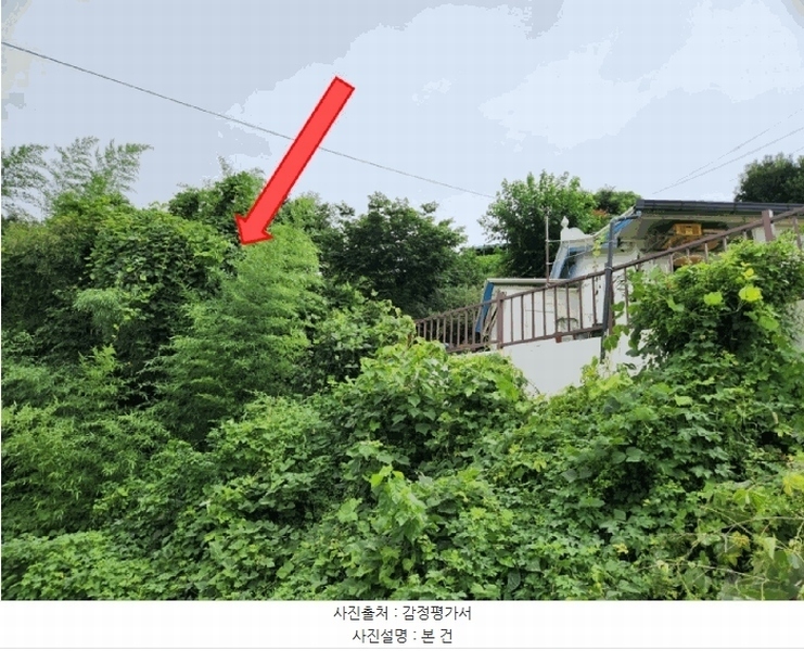 2025타경21715 경상남도 거제시 사등면 성포리 276-40 대지 경매 이미지