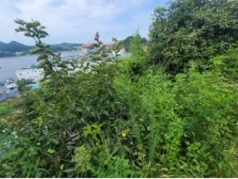 2025타경21715 경상남도 거제시 사등면 성포리 276-40 대지 경매 이미지