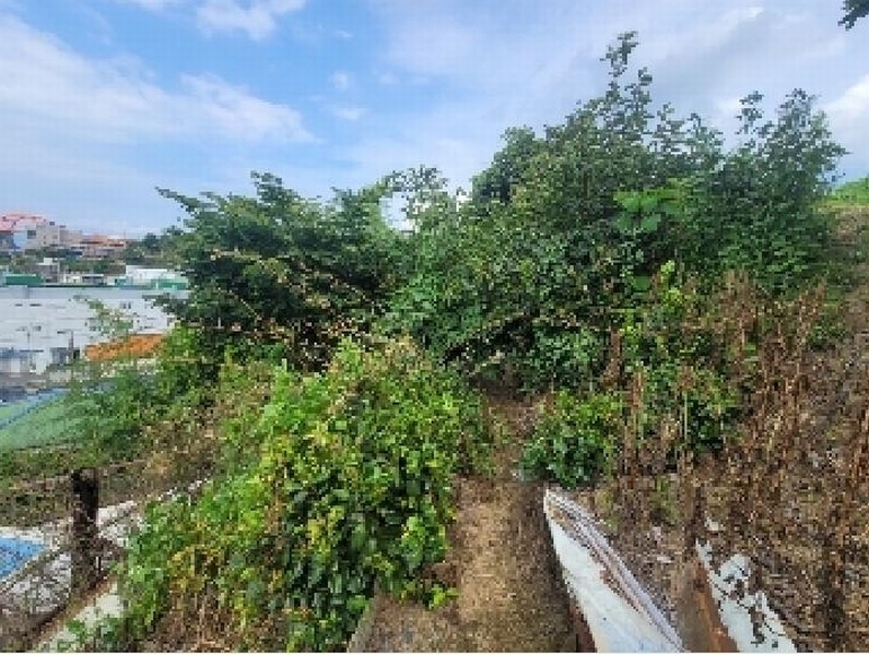 2025타경21715 경상남도 거제시 사등면 성포리 276-40 대지 경매 이미지