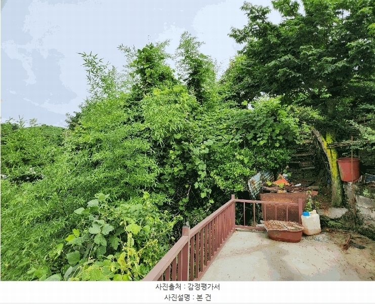 2025타경21715 경상남도 거제시 사등면 성포리 276-40 대지 경매 이미지