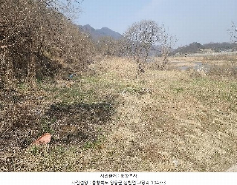 2025타경10114 충청북도 영동군 심천면 고당리 1043-3 농지 경매 이미지