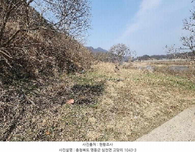 2025타경10114 충청북도 영동군 심천면 고당리 1043-3 농지 경매 이미지